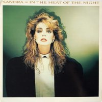 IN THE HEAT OF THE NIGHT [12"]